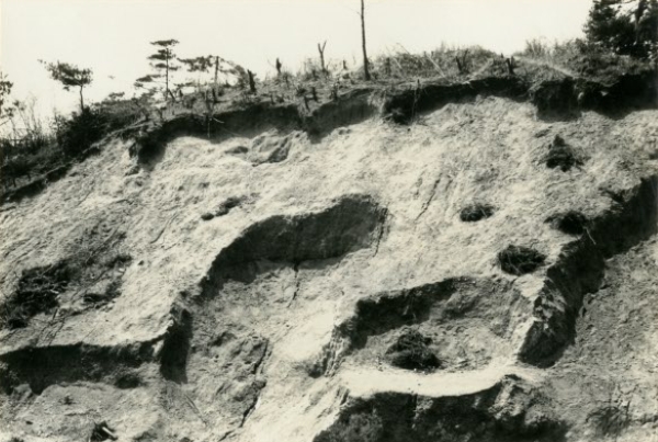 art1